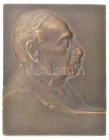 Csillag István (1881-1968) 1913. lovag Falk Zsigmond 70 éves nyomdászságának emlékére bronz emlékplakett (47x60mm) T:1- ph.