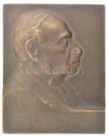 Csillag István (1881-1968) 1913. "lovag Falk Zsigmond 70 éves nyomdászságának emlékére" bronz emlékplakett (47x60mm) T:1- ph.