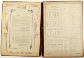 1902 Hermaneczi Papírgyár Rt., Bp., díszes szecessziós karton dosszié, sérült félvászon gerinccel, k...