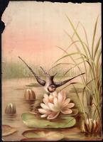 cca 1880-1900 madarak, énekesmadarak, 8 db kromolitográfia, karton, jelzett a metszeten, széleinél s...