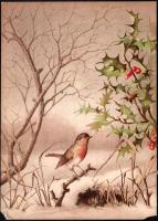 cca 1880-1900 madarak, énekesmadarak, 8 db kromolitográfia, karton, jelzett a metszeten, széleinél s...