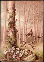 cca 1880-1900 madarak, énekesmadarak, 8 db kromolitográfia, karton, jelzett a metszeten, széleinél s...