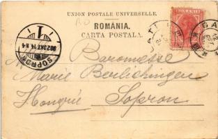1902 Galati, Galatz; Strada Domneasca spre Gradina publica / street view, park (EB)