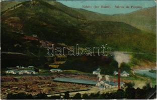 1914 Nehoiu, Fabrica de Ferestea / timber factory, sawmill (EK)