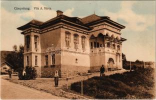 1916 Campulung Muscel, Hosszúmező, Kimpolung, Cimpolung (Arges); Vila A. Mirea / villa