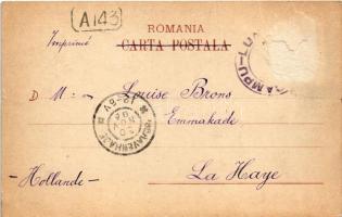 1905 Campulung Muscel, Hosszúmező, Kimpolung, Cimpolung (Arges); general view. Edit. N. Manolescu, F...