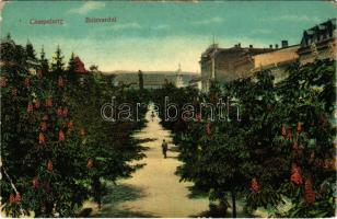 1915 Campulung Muscel, Hosszúmező, Kimpolung, Cimpolung (Arges); Bulevardul / street view (EB)