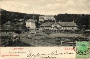 1902 Targu Neamt, Németvásár; Baile Oglinzi / spa, bath (EK)