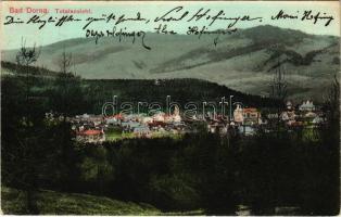 Vatra Dornei, Dornavátra, Bad Dorna-Watra (Bukovina, Bukowina); Totalansicht / general view, spa