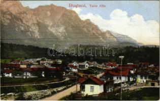 Busteni, Valea Alba / valley, general view (glue mark)