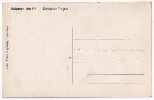 Puj, Pui; P. Clecan üzlete, vas, cement és petróleum raktár. Adler Árthur fényirda / shop of P. Clec...