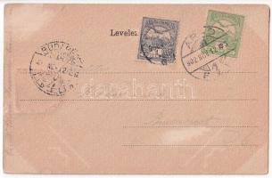 1902 Arad, Városháza. Szecessziós címeres litho keret / town hall. Art Nouveau, litho frame with coa...