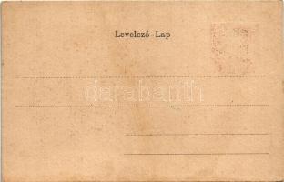 Arad, látkép madártávlatból. Szecessziós címeres litho keret / general view. Art Nouveau, litho fram...