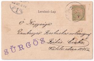 1904 Arad, Pénzügyi palota. Szecessziós magyar zászlós litho keret / Financial Palace. Art Nouveau l...