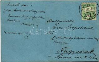 1911 Kolozsvár, Cluj; villa. photo (EK)