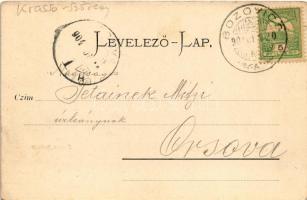 1904 Bozovics, Bozovici; Herkulesfürdői út, Spärger Ignác üzlete / street view, shop (EK)