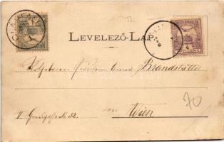 1900 Szentkeresztbánya, Vlahita Noua, Minele Lueta (Szentegyháza, Vlahita); Fürdő bejárat. Siska Ign...