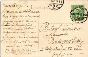 1908 Mehádia, Mehadia; vasúti híd. W.L. 1496. Brauch A. Fia kiadása / general view, railway bridge (...