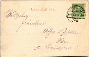 1909 Karánsebes, Caransebes; Bahnhof / Pályaudvar, vasútállomás, vasutasok, vonat. H. Rosenfeld kiad...