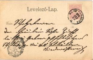 1900 Ruszkabánya, Rusca Montana; Nyaralóhely, Villa Stefanica, Svimai vízesés. Uhrmann kiadása / vil...