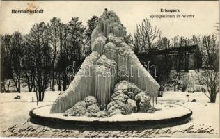 1911 Nagyszeben, Hermannstadt, Sibiu; Erlenpark, Springbrunnen im Winter / fagyott szökőkút télen. G. Zackel felvétele / frozen fountain in winter (fl)