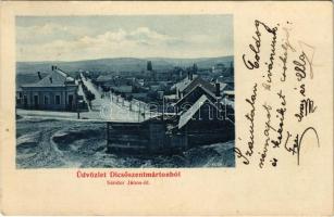 1907 Dicsőszentmárton, Tarnaveni, Diciosanmartin; Sándor János út. Hirsch Mór kiadása / street view (EK)