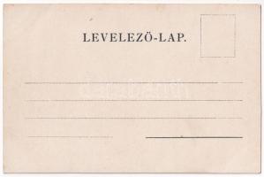 Szatmárnémeti, Szatmár, Satu Mare; látkép. Löwy M. kiadása / general view. Art Nouveau, floral, lith...