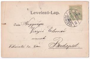 1901 Szatmárnémeti, Szatmár, Satu Mare; Színház, Kölcsey szobor. Lövy Miksa kiadása / theatre, statu...