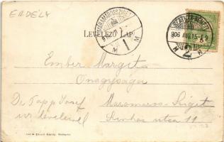 1906 Szatmárnémeti, Szatmár, Satu Mare; Széchenyi utca. Divald Károly kiadása / street view (EK)