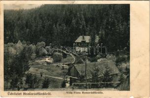 1906 Homoródfürdő, Homoród-fürdő, Baile Homorod; Villa Flora / villa, spa (szakadás / tear)