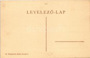 Budapest VIII. Dr. Pajor szanatórium és vízgyógyintézet, nap fürdő. Id. Weinwurm Antal kiadása. Vas ...