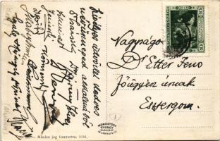 Esztergom, Hajósegylet a szigeten