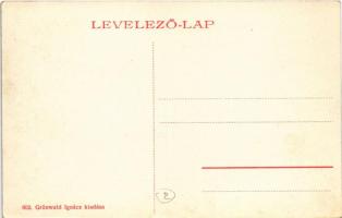 Miskolc, Város- és megyeháza. Grünwald Ignác kiadása