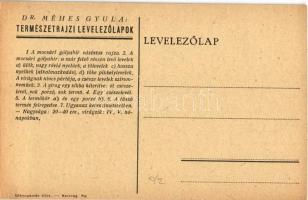 Mocsári gólyahír. Természetrajzi Levelezőlapok / Caltha Palustris / marsh-marigold, kingcup s: Dr. M...