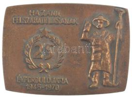 1970. Hazánk felszabadulásának 25. évfordulójára 1945-1970 egyoldalas bronz emlékplakett (45x66mm) T:1-