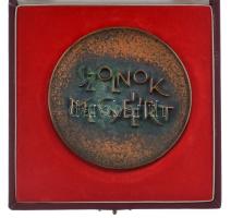 DN "Szolnok megyéért / "Hass, alkoss, gyarapíts" kétoldalas bronz emlékérem díszdoboz...