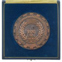 1975. Szolnok Megyei Jubileumi Ipari és Élelmiszergazdasági Kiállítás egyoldalas bronz emlékérem díszdobozban (102mm) T:1-