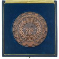 1975. "Szolnok Megyei Jubileumi Ipari és Élelmiszergazdasági Kiállítás" egyoldalas bronz emlékérem díszdobozban (102mm) T:1-