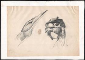 Eigel István (1922-2000): Madártanulmányok. Ceruza, papír, kissé foltos, kartonra kasírozva, 21×30 cm