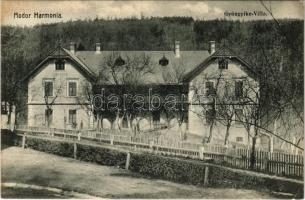 Modor-Harmónia, Modern-Harmonie, Modra; Gyöngyike villa / villa (EK)