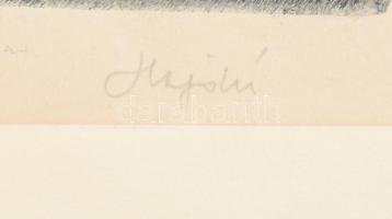 Hajdú jelzéssel: Duna, színezett rézkarc, papír, paszpartuban, 29×39 cm