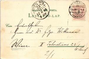 1898 (Vorläufer) Temesvár, Timisoara; Kloster Josefstadt, Cadetten Schule, Realschule, Buchhandlung ...