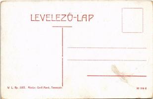 Temesvár, Timisoara; Rudolf utca, Hunyadi tér, üzletek. W.L. Bp. 2003. Gerő Manó kiadása / street vi...