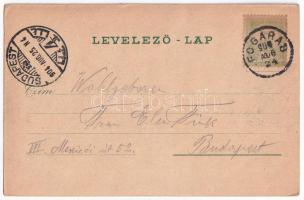 1904 Fogaras, Fagaras; Vár, Ferenc József tér, Megyeháza, Mercur szálloda, Sterczing utca, Városlige...