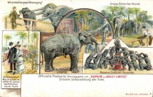 Zoo, elephants litho (Ek)