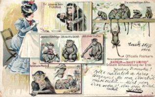 Zoo, monkeys litho