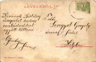 1907 Erzsébetváros, Dumbraveni, Elisabetopol; Erzsébet utca. Scholtes A. kiadása 758. (W.L. ?) / str...