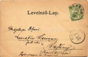 1906 Seprős, Sepreus; Fő tér, Községháza, Elemi iskola. Rottmann Sándor fényképész felvétele után a ...