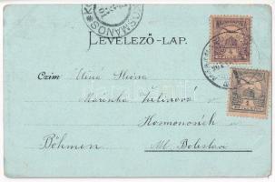 1901 Máramarossziget, Sighet, Sighetu Marmatiei; Római katolikus templom és gimnázium, látkép. Mayer...