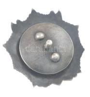 Szovjetunió 1943-1991. "Alekszandr Nyevszkij Rend" aranyozott, zománcozott, jelzetlen Ag k...